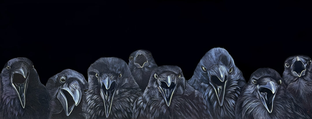 16. Mohsin ur Rahman - 9.5 x 23.5 inches - They are watching us copy